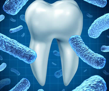 Avoiding Pregnancy Gingivitis