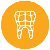 3D Model of Your Teeth